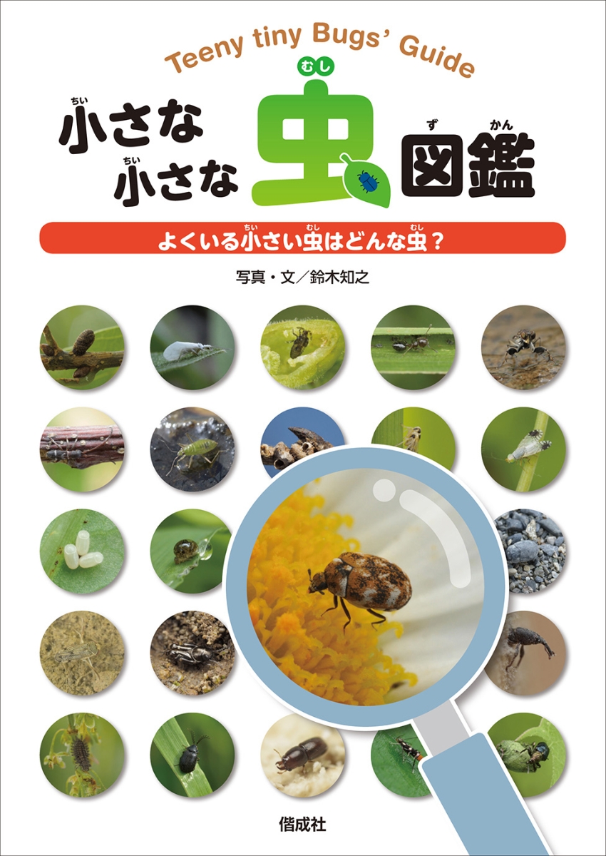 新品「Theむし 昆虫図鑑4200種」 - ノンフィクション・教養