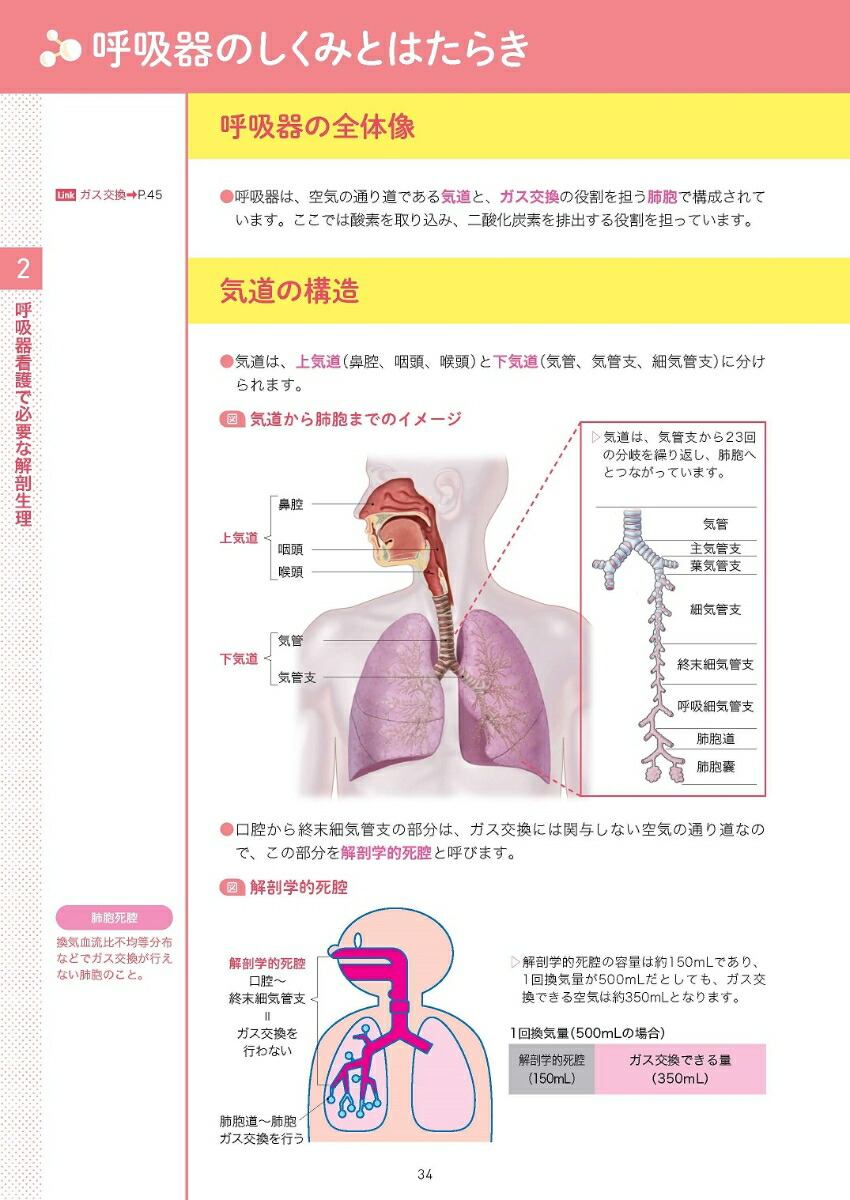 ڤʤȤ1Ǥ狼Ƶ۴[ֽ±Ǹ]