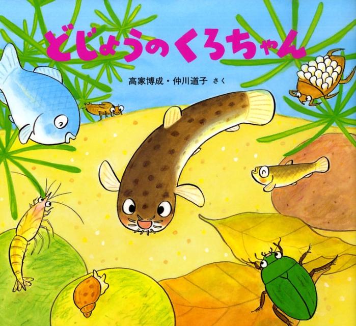 �ɤ��礦�Τ��������