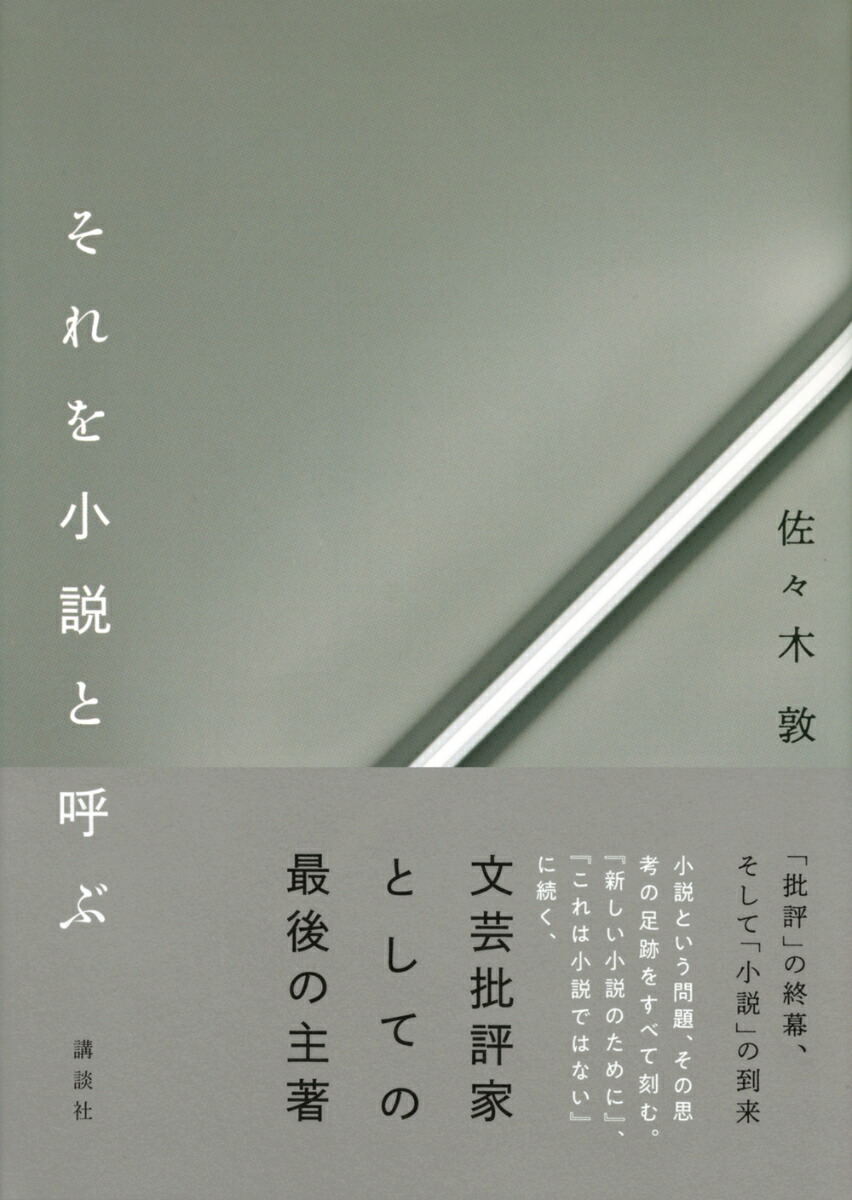 楽天ブックス それを小説と呼ぶ 佐々木 敦 本