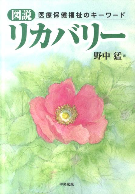 図説リカバリー医療保健福祉のキーワード[野中猛]