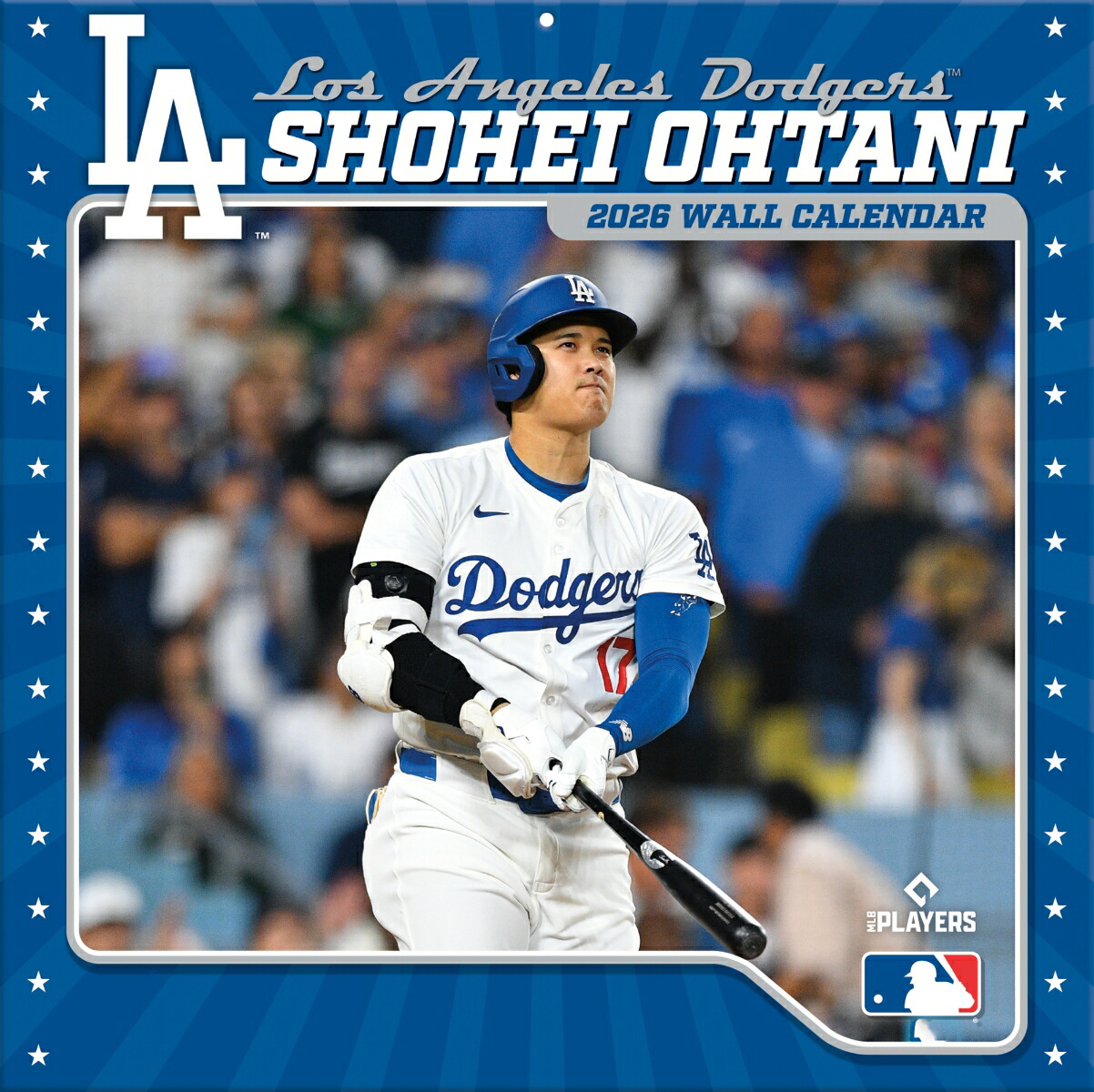 値下げ❗️【美品】エンゼルス大谷翔平　豪華セット　フォト　はがき24枚　限定 大谷翔平選手 エンゼルス時代最後の雄姿がピンズで集結！「額装