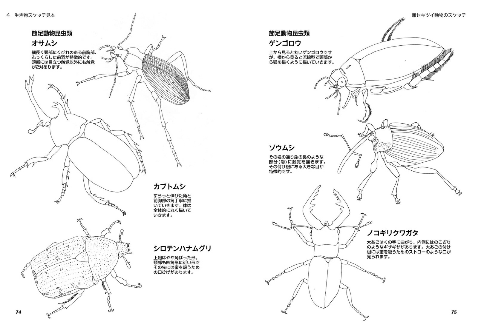 楽天ブックス スケッチで実験 観察 生物の描き方とコツ 内山 裕之 本