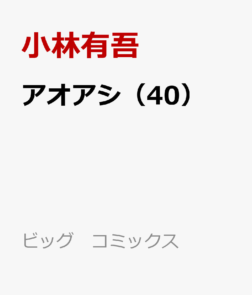 40ˡʥӥåߥå[ͭ]