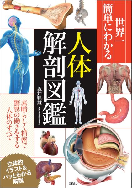 楽天ブックス: 世界一簡単にわかる人体解剖図鑑 - 坂井建雄 