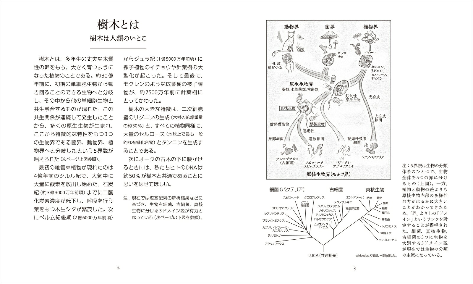 森と樹木の秘密の生活だれも知らない神秘の世界（アルケミスト双書）[オラヴィ・フイカリ]