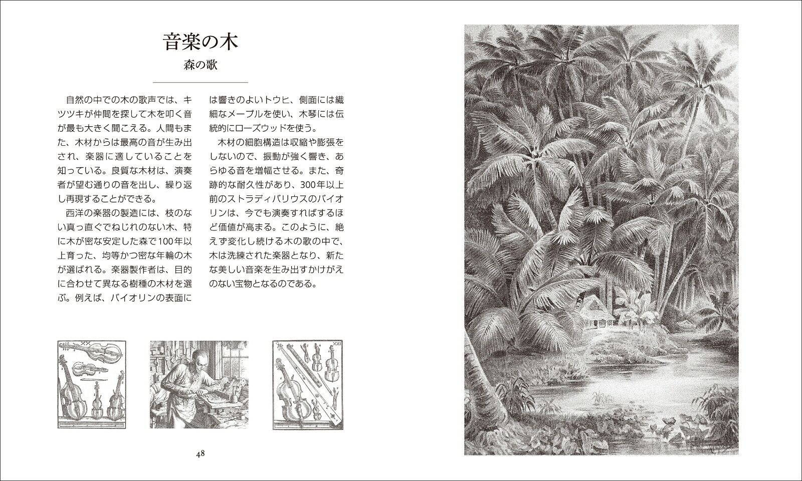 森と樹木の秘密の生活だれも知らない神秘の世界（アルケミスト双書）[オラヴィ・フイカリ]