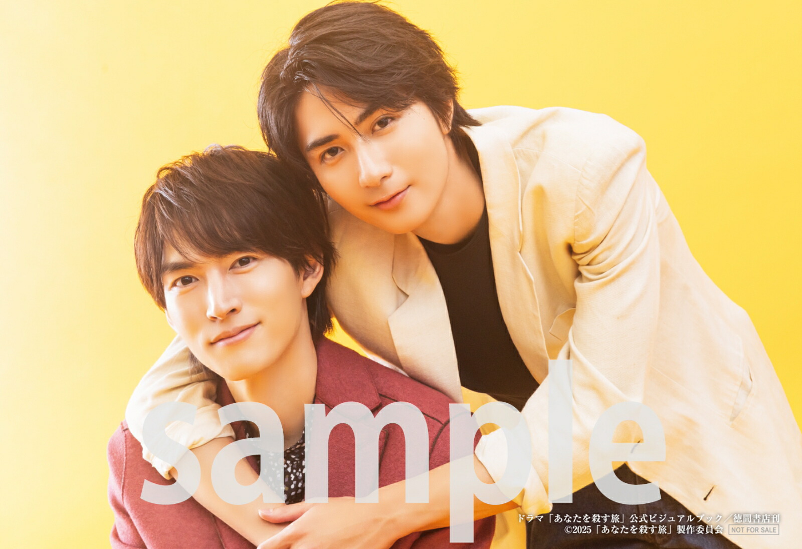 �ڳ�ŷ�֥å���������ŵ�ۡڥɥ�ޡ֤��ʤ��򻦤�ι�׸����ӥ��奢��֥å��ۡʥ��ޥ󥢥�Х��(��饭�㥹�ȤΥե��ȥ�����)[2025�֤��ʤ��򻦤�ι������Ѱ���]