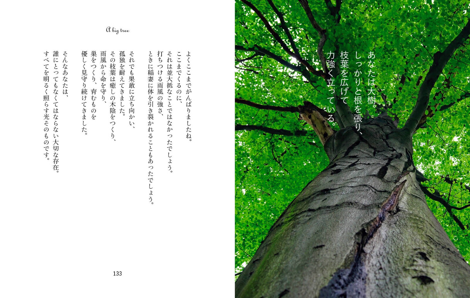 楽天ブックス 神様からのbright Word こころが光に包まれる 日下由紀恵 本