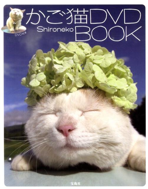 楽天ブックス かご猫dvd Book Shironeko 本