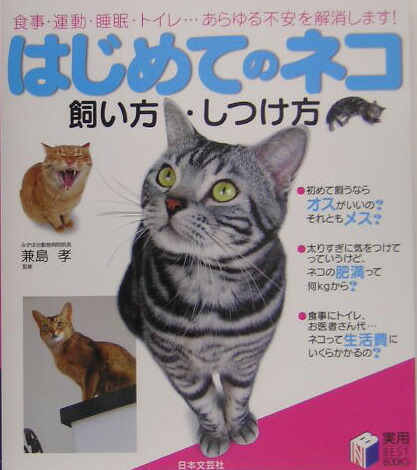 はじめてのネコ飼い方・しつけ方 （実用best　books）