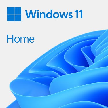 Windows11Home64BitDSP���ܸ�DVD