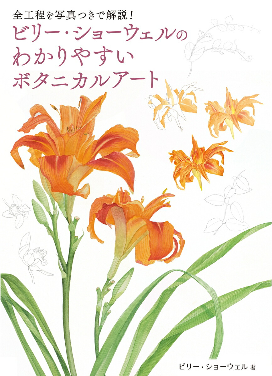 ӥ꡼硼Τ狼䤹ܥ˥륢[ӥ꡼硼]