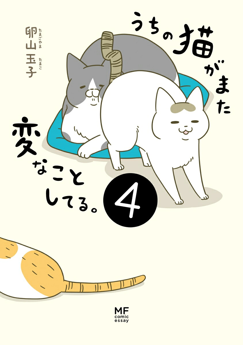 うちの猫がまた変なことしてる。4[卵山玉子]