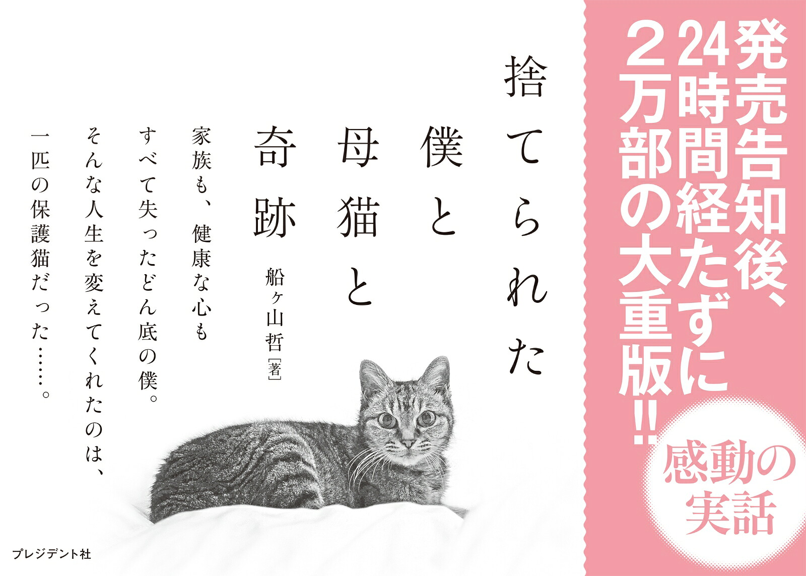 捨てられた僕と母猫と奇跡心に傷を負った二人が新たに見つけた居場所[船ヶ山哲]