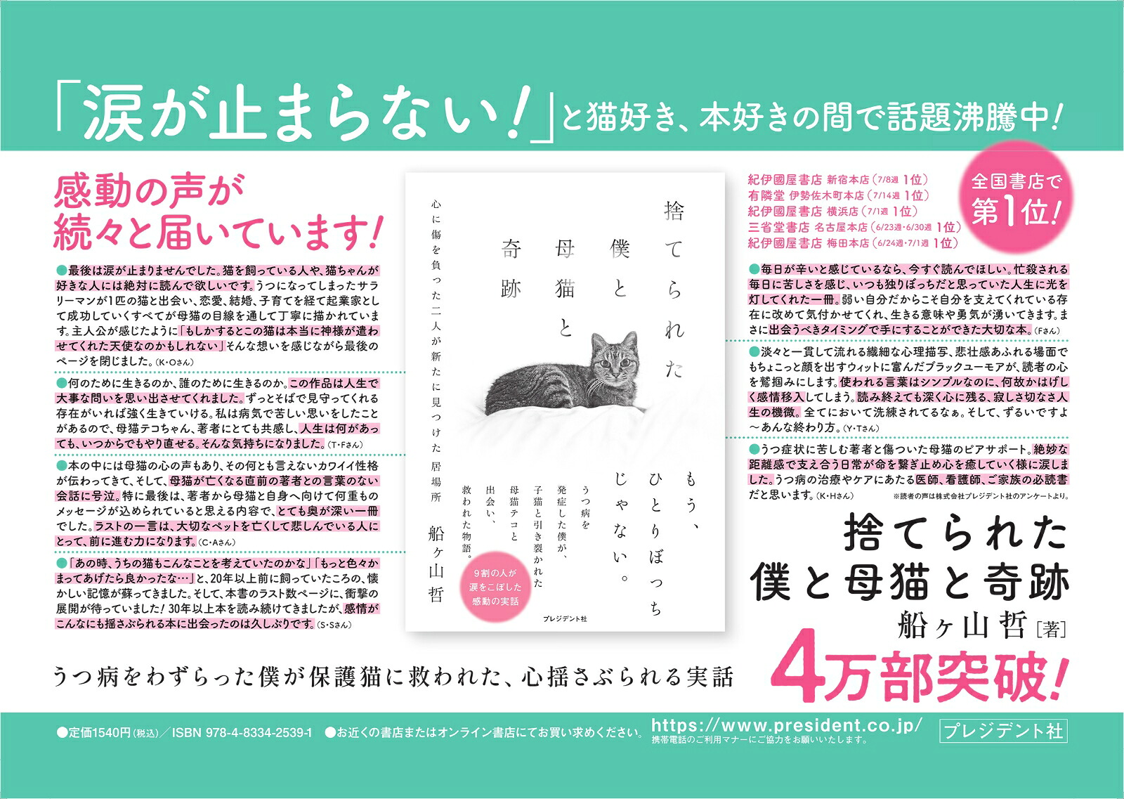 捨てられた僕と母猫と奇跡心に傷を負った二人が新たに見つけた居場所[船ヶ山哲]