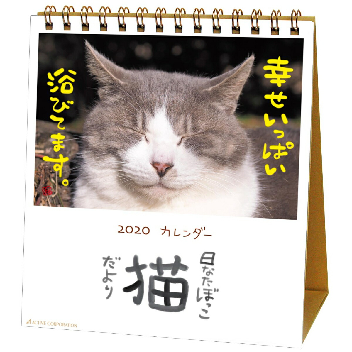 楽天ブックス カレンダー 年 卓上 日なたぼっこ猫だより Acl 539 ダイアリー 本