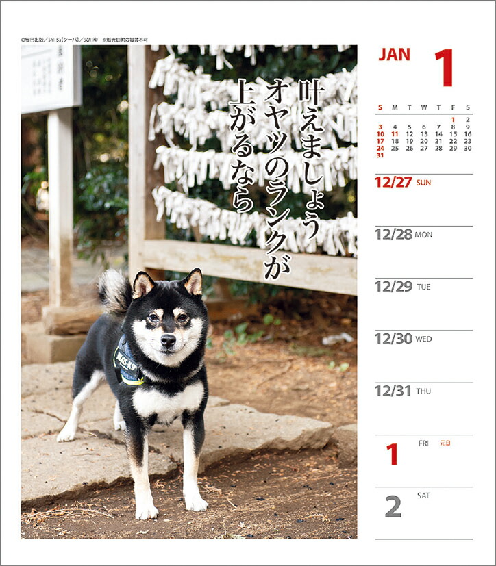 楽天ブックス 犬川柳 週めくり 21年1月始まりカレンダー 本