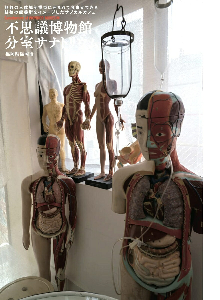 ワンダーJAPON4日本で唯一の「異空間」旅行マガジン![standards]