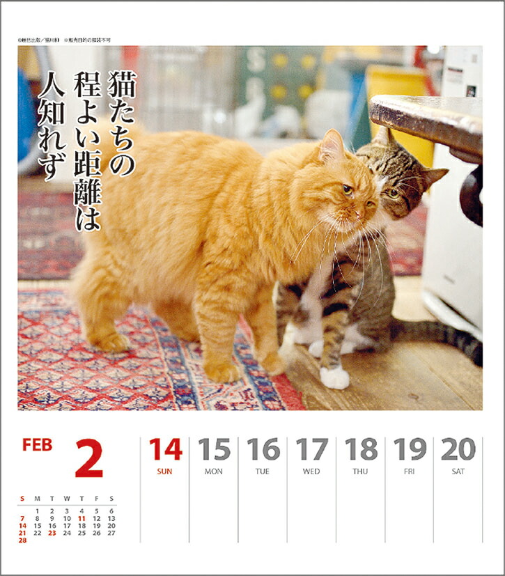 楽天ブックス 猫川柳 週めくり 21年1月始まりカレンダー 本