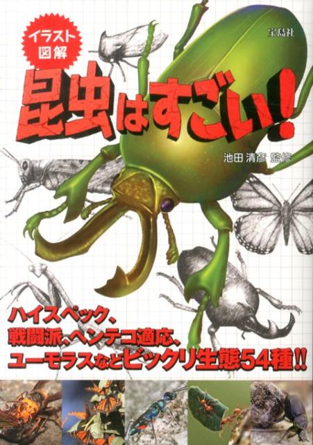 楽天ブックス イラスト図解昆虫はすごい 池田清彦 本