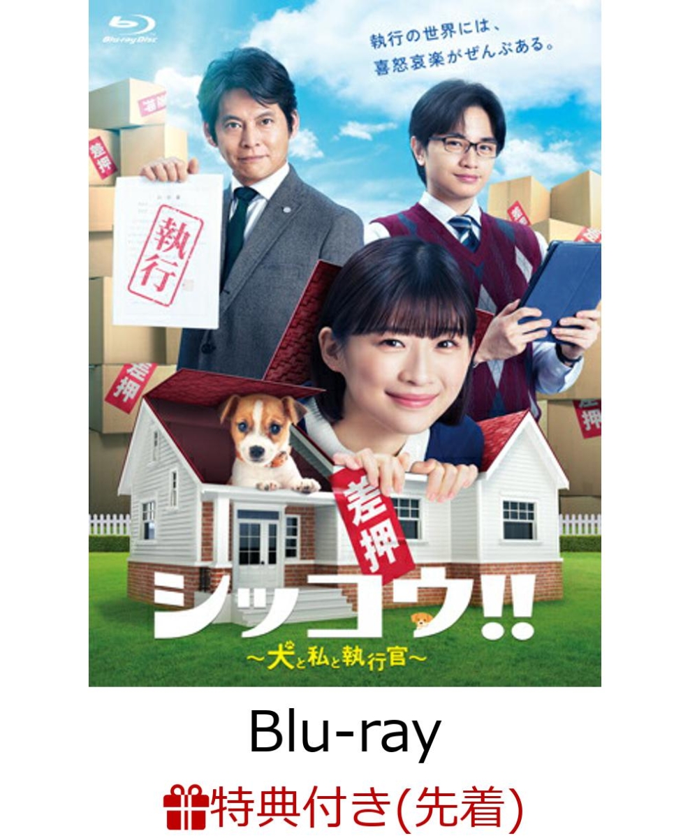 【先着特典】シッコウ!!～犬と私と執行官～ Blu-ray BOX【Blu-ray】(B6クリアファイル)