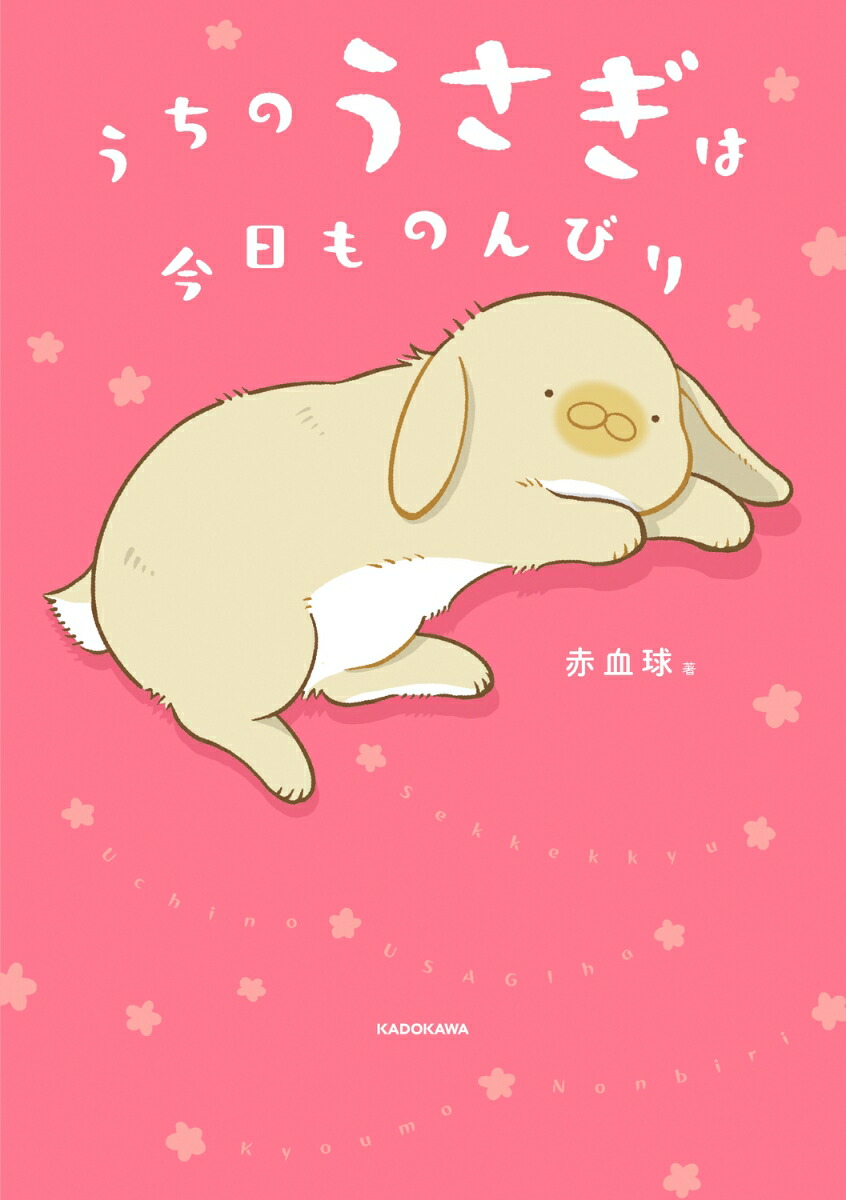 うちのうさぎは今日ものんびり画像