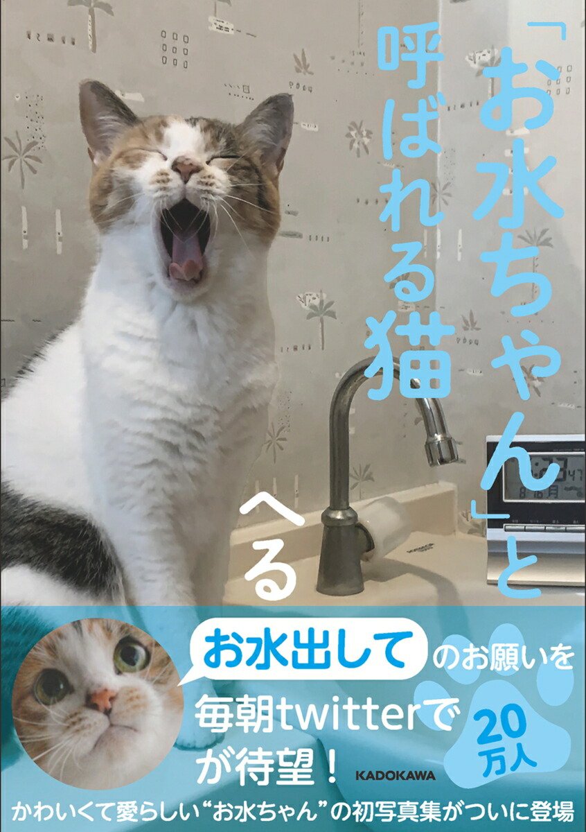 楽天ブックス お水ちゃん と呼ばれる猫 へる 本