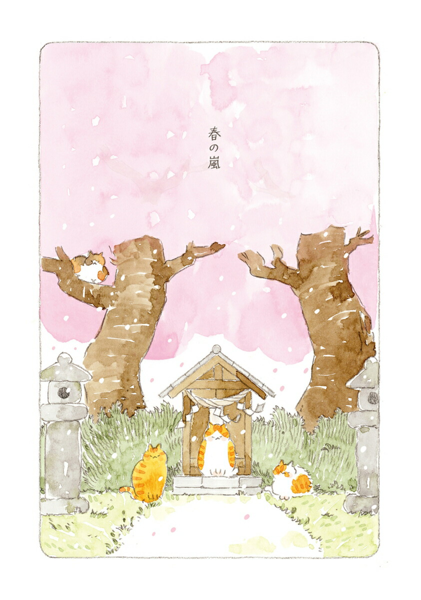 �ͤ��Ȥ���������12��[�ͤ��ޤ�(�ߥ塼�����)]