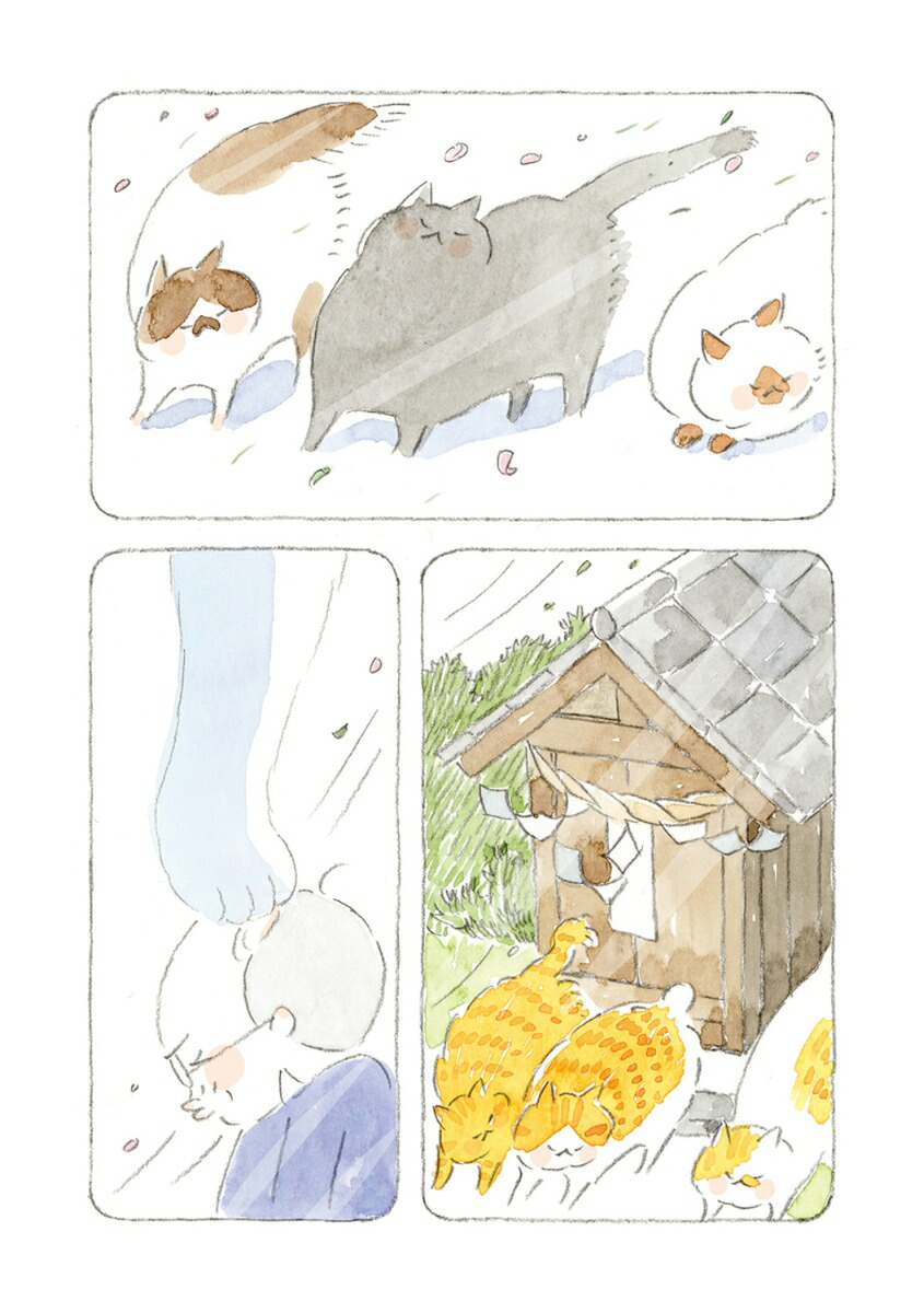 �ͤ��Ȥ���������12��[�ͤ��ޤ�(�ߥ塼�����)]