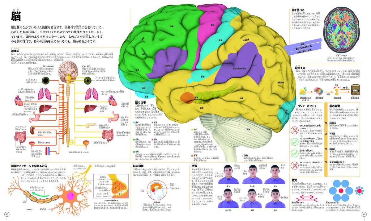 なんでもいっぱい大図鑑 ピクチャーペディア [ スミソニアン協会 ]