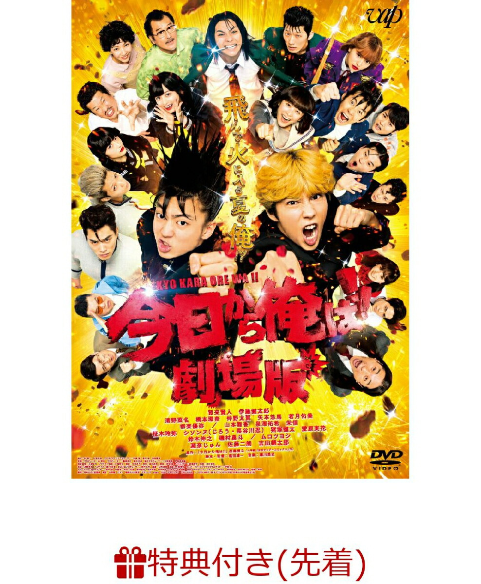 ��������ŵ�ۺ������鲶��!!�����DVD�̾���(A4���֥�ݥ��åȥ��ꥢ�ե�����)[���踭��]