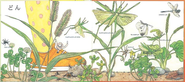 ϤɤĻܤդʤͥ꡼[ã]