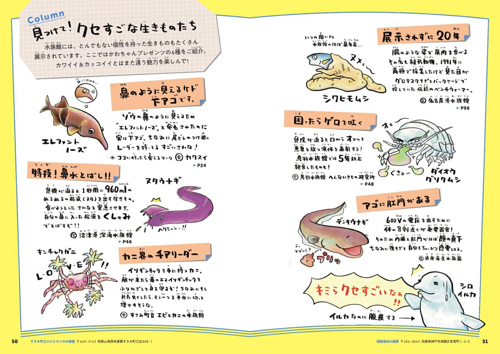 全国クセすご水族館図鑑（単行本）[さかなのおにいさんかわちゃん]