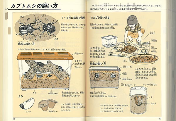 楽天ブックス 自由研究図鑑 身近なふしぎを探検しよう 有沢重雄 本
