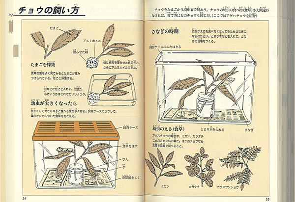 楽天ブックス 自由研究図鑑 身近なふしぎを探検しよう 有沢重雄 本