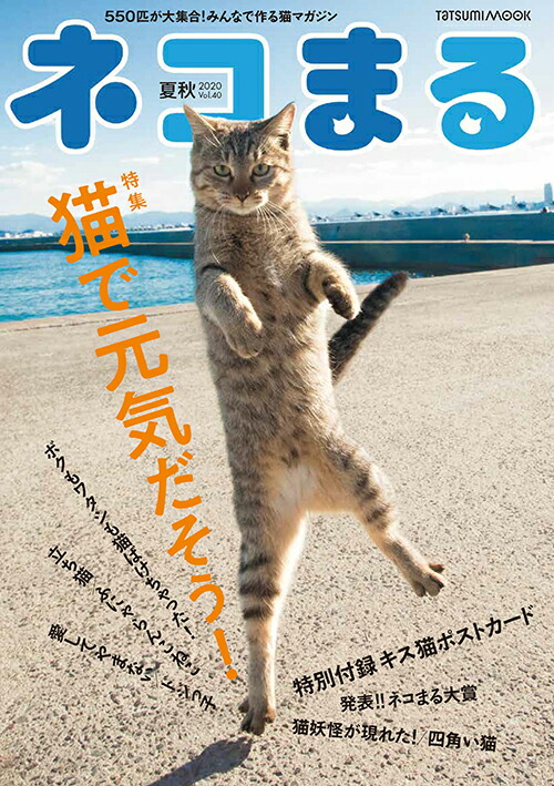楽天ブックス ネコまる 夏秋号 Vol 40 本