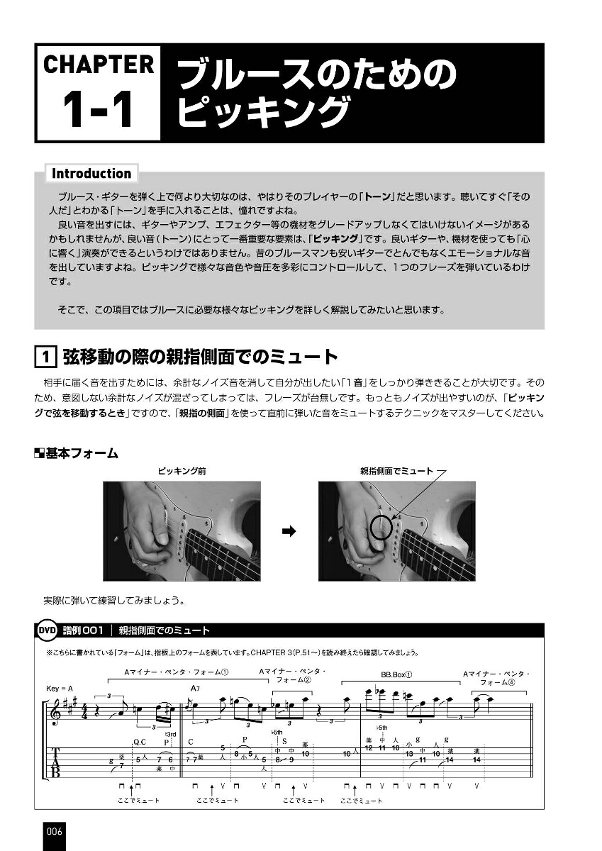 感情のままに弾けるブルース・ギターの神髄トーンもフレーズも自由自在！[岩下潤]