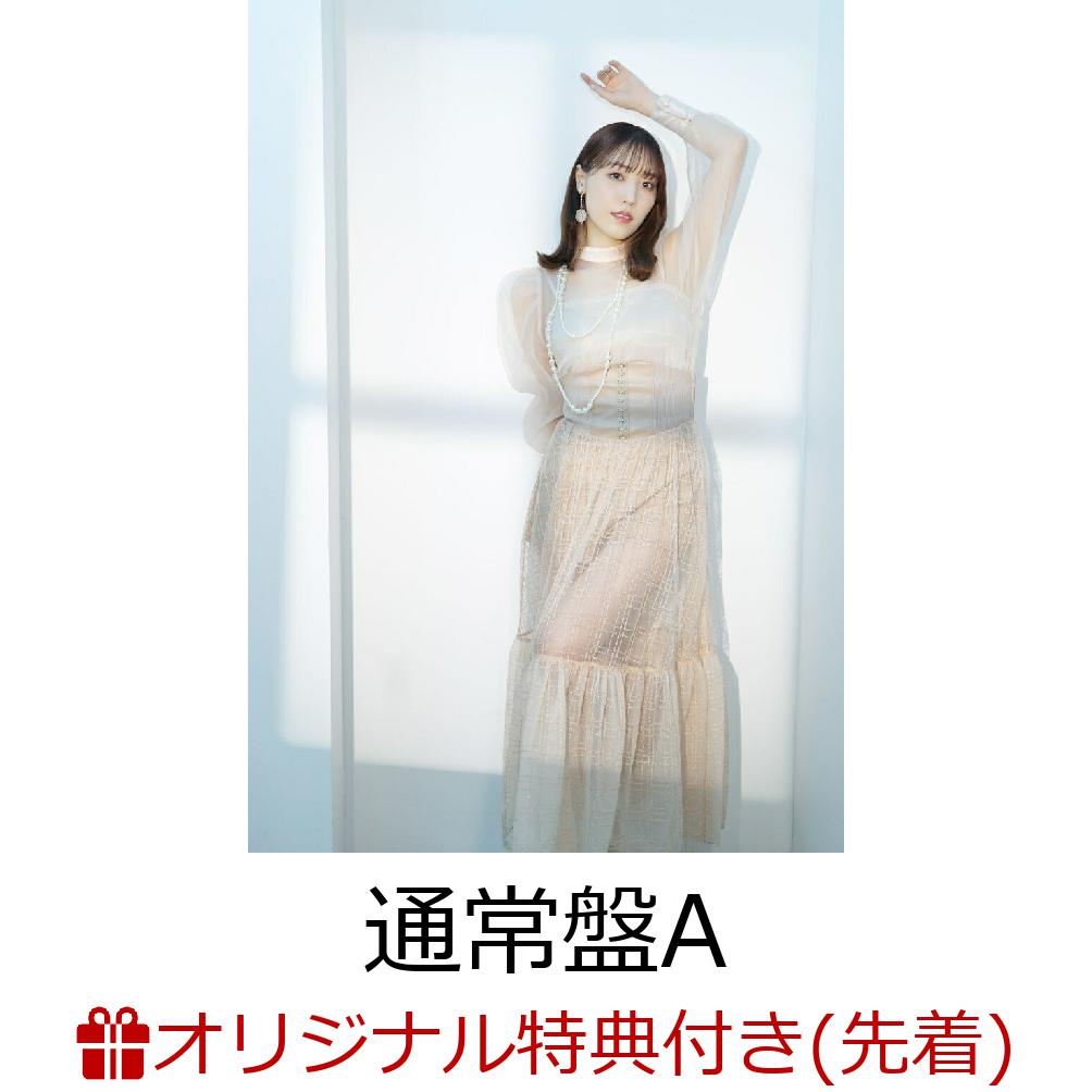 ڳŷ֥åŵۡڥ쥸åȥɷѸۥ󥰥֥쥿˥С꡼Ϥʤ(̾A)(ŷ֥å饤åɥ)[¼]