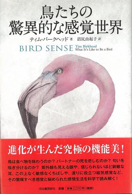 楽天ブックス バーゲン本 鳥たちの驚異的な感覚世界 ティム バークヘッド 本