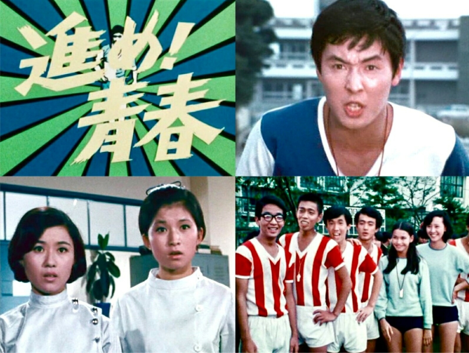 楽天市場】853-刑事・加茂伸之介 DVD-BOX 新品 マルチレンズクリーナー