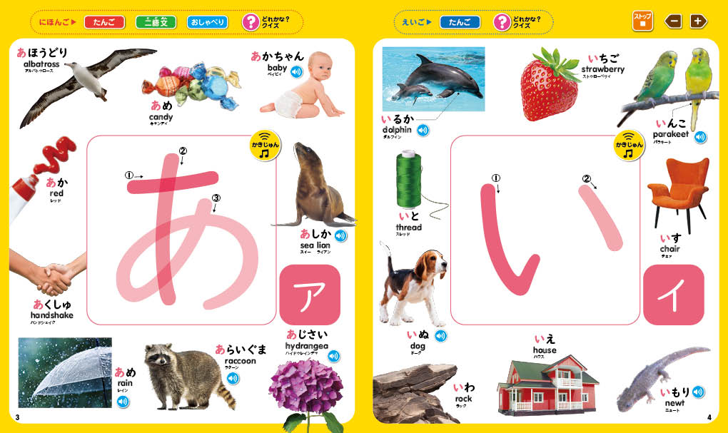 ���å��ڥ�Ǥޤʤ٤롪�Ϥ���ƤΤҤ餬�ʤ�����Ѹ�Ĥ�[���شۤϤ���Ƥ����������]