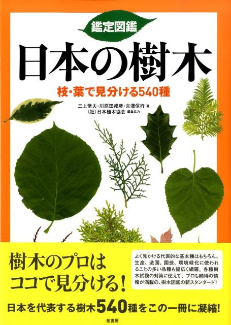 楽天ブックス: 鑑定図鑑日本の樹木 - 枝・葉で見分ける540種 - 三上