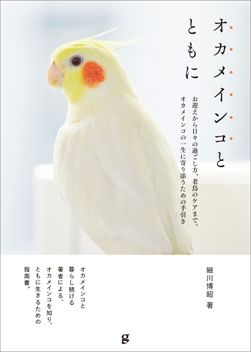 オカメインコさま専用ページ 楽天市場】TOMO YAMASHITA DESIGN STUDIO. A4クリアファイル