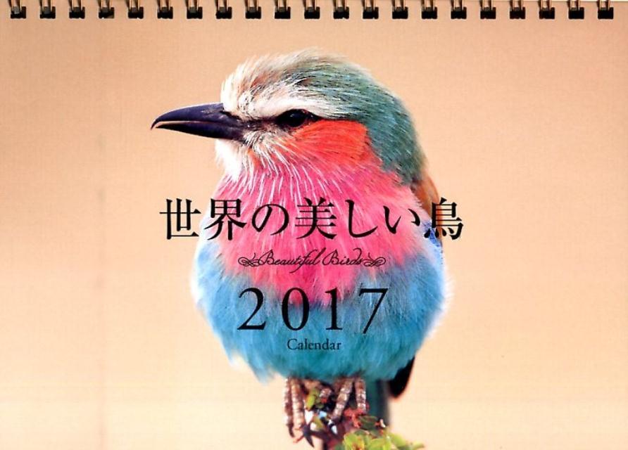 楽天ブックス 卓上 世界の美しい鳥カレンダー 17 本