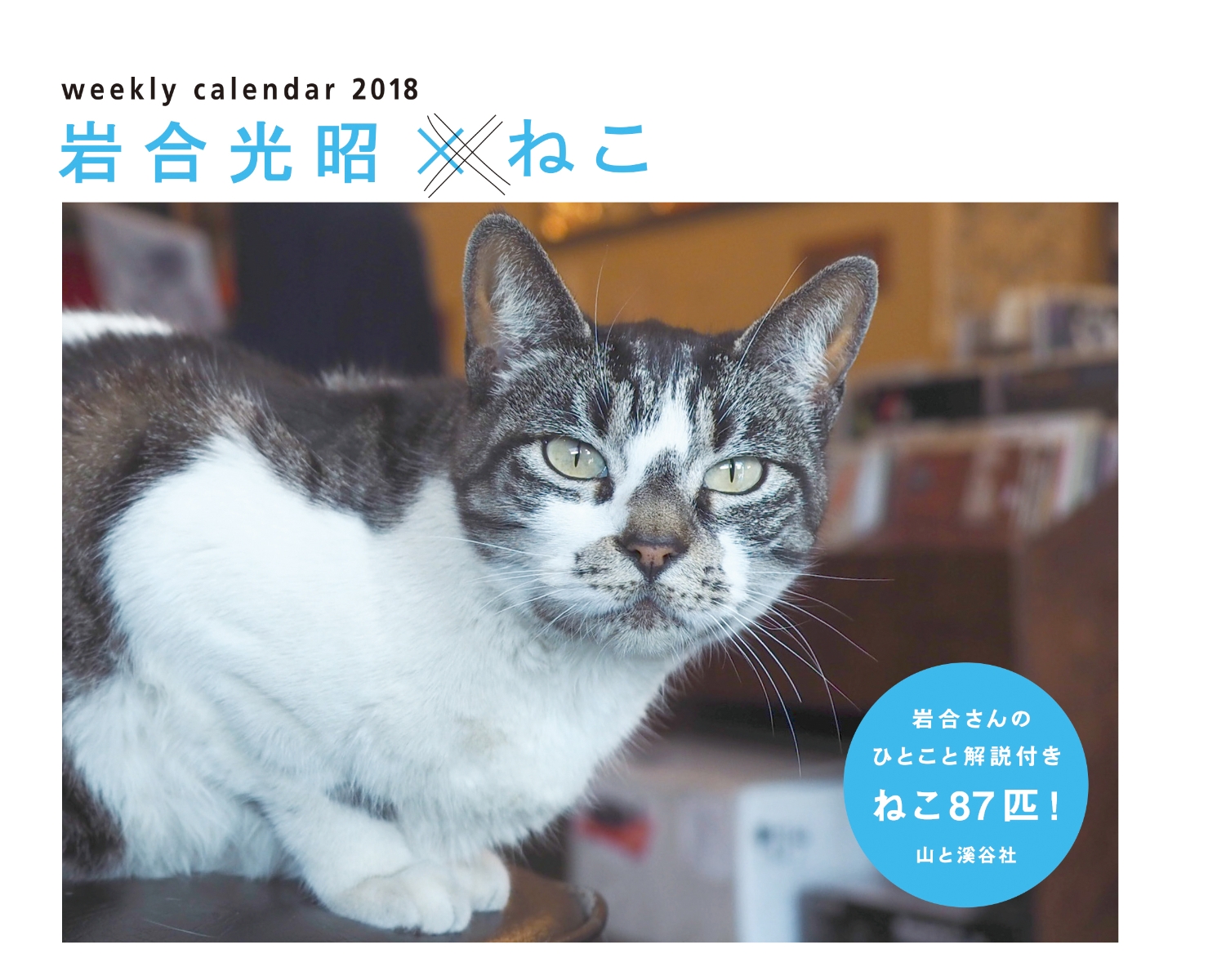 楽天ブックス 岩合光昭 ねこカレンダー 本