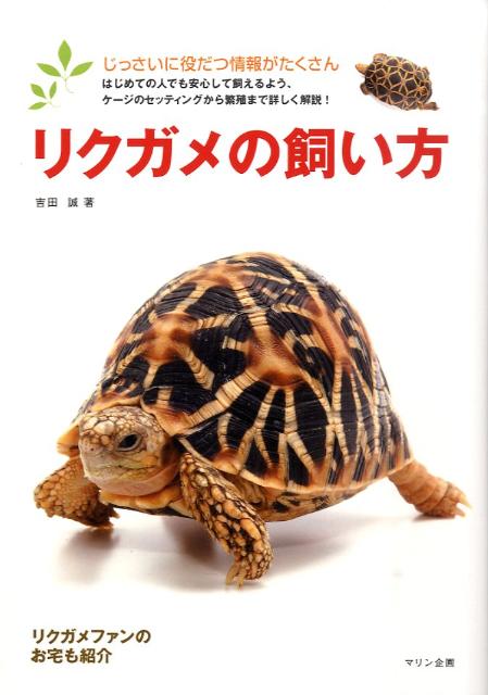 楽天ブックス: リクガメの飼い方 - 購入・餌・世話・病気・繁殖 - 吉田