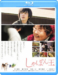しゃぼん玉【Blu-ray】[林遣都]
