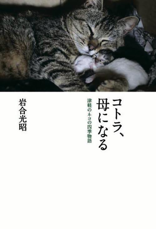 楽天ブックス: コトラ、母になる - 津軽のネコの四季物語 - 岩合 光昭