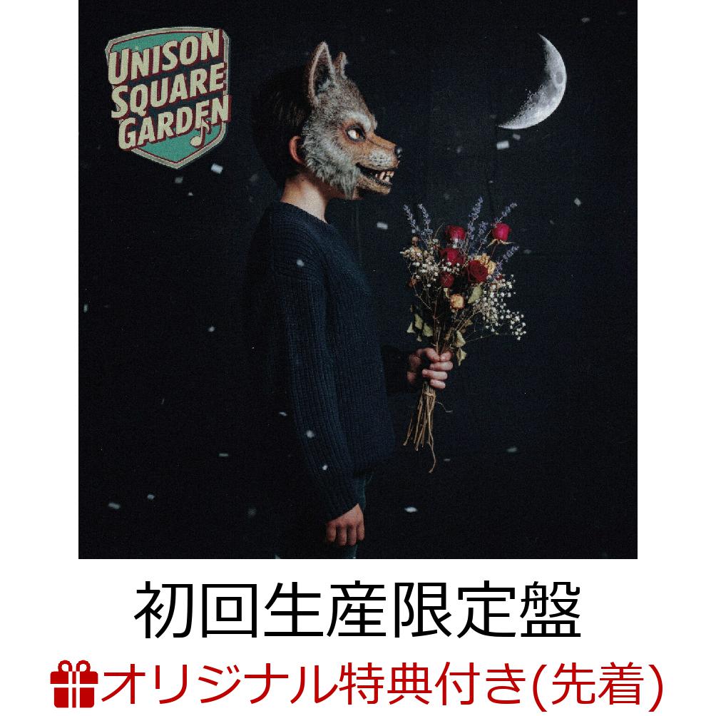 �ڳ�ŷ�֥å�������������ŵ�ۤ���路/�����쥢����(�������������CD��Blu-ray)(A4���ꥢ�ե�����)[UNISONSQUAREGARDEN]